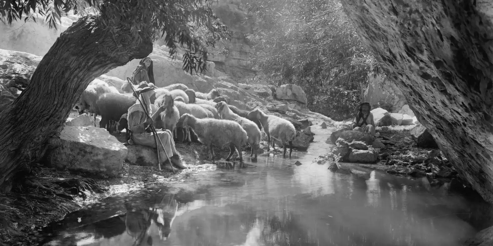 A shepherd with a crook sits beside a still pool under a tree while his sheep drink.